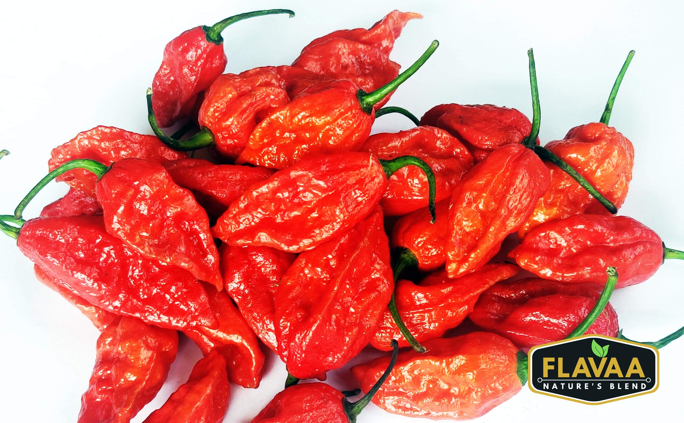 What is Ghost Pepper/Bhut Jolokia? Brief History & Entymology