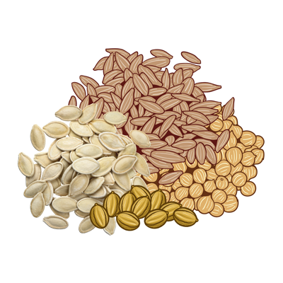 Seeds & Planting materials